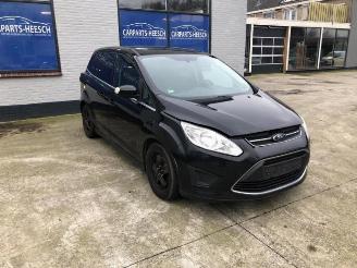 Ford Grand C-Max Grand C-Max (DXA), MPV, 2010 / 2019 1.6 EcoBoost 16V picture 2