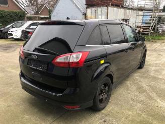 Ford Grand C-Max Grand C-Max (DXA), MPV, 2010 / 2019 1.6 EcoBoost 16V picture 6