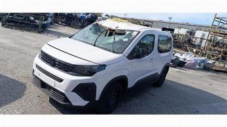 Purkuautot passenger cars Peugeot Rifter Rifter (ER/EC/EZ), MPV, 2018 e-Rifter 2025/4