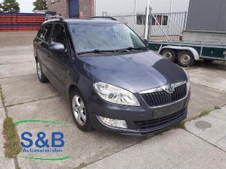 Skoda Fabia  picture 3