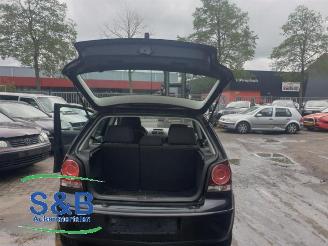 Volkswagen Polo Polo IV (9N1/2/3), Hatchback, 2001 / 2012 1.4 TDI 70 picture 19