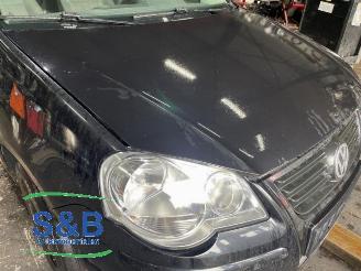 Volkswagen Polo Polo IV (9N1/2/3), Hatchback, 2001 / 2012 1.4 TDI 70 picture 6