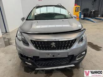 Peugeot 2008  picture 3