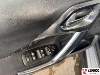 Peugeot 2008  picture 19
