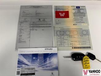 Peugeot 2008  picture 22