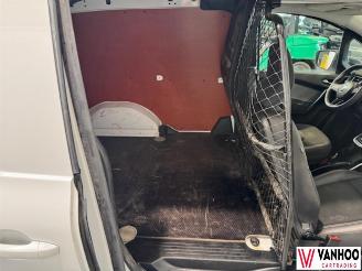 Renault Kangoo  picture 11
