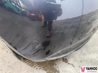 Renault Clio  picture 8