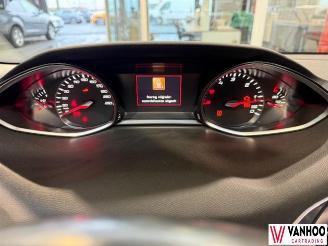 Peugeot 308 308 picture 21