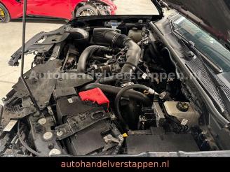 Ford Ranger Raptor e-4WD Doppelk Performance 215KW picture 34